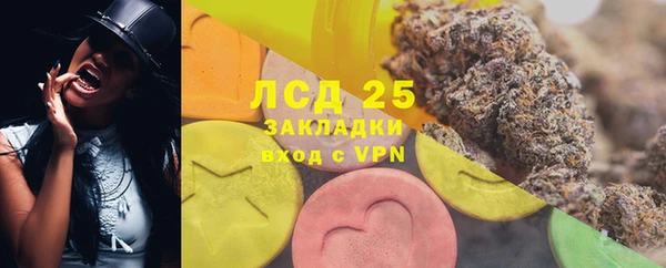 ГАЛЛЮЦИНОГЕННЫЕ ГРИБЫ Верея