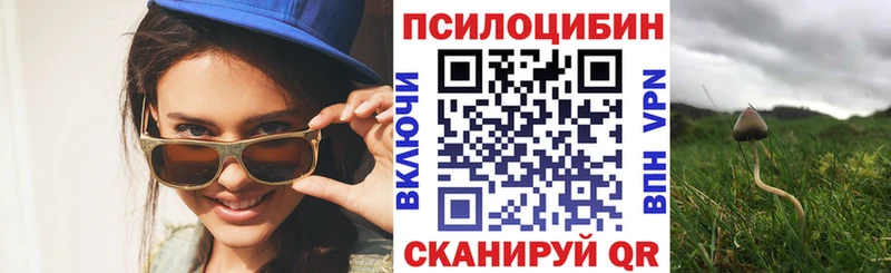 Галлюциногенные грибы Psilocybine cubensis  мега вход  Вихоревка 