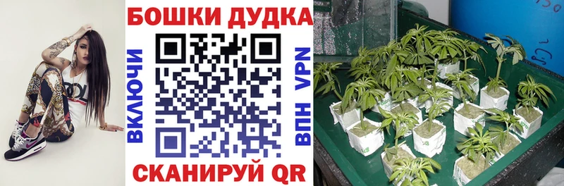 Конопля LSD WEED  Вихоревка 